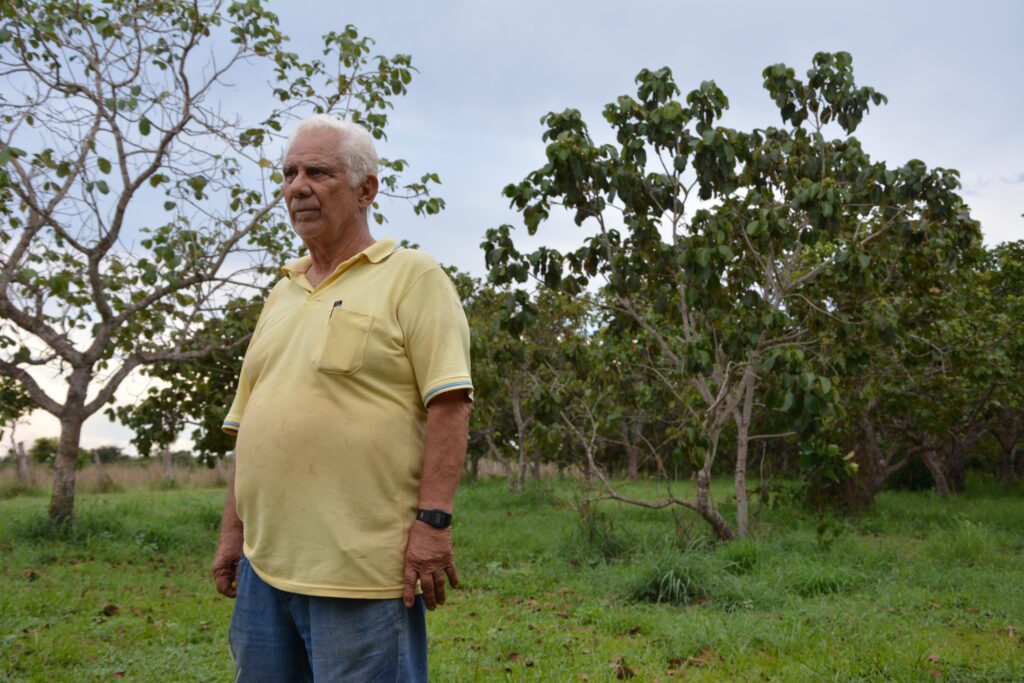 Pequenas propriedades podem ser sustentáveis produzindo frutos do Cerrado