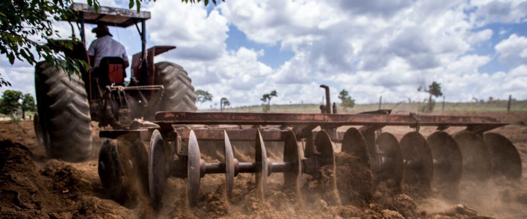 Rede de Sementes do Xingu é solução em restauração florestal no Mato Grosso