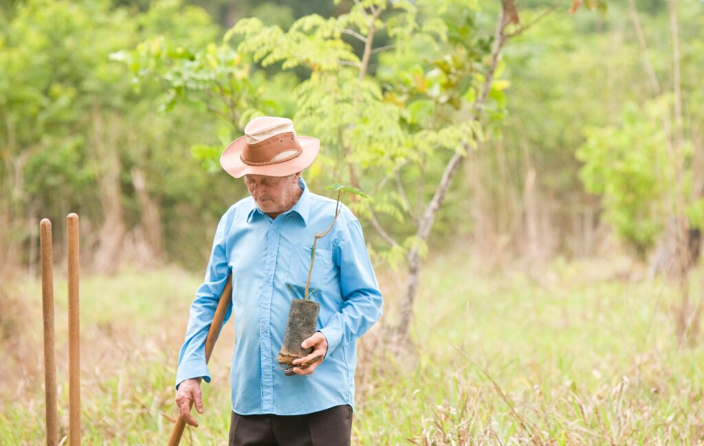 Plantador de florestas octogenário vira exemplo na região Xingu/Araguaia