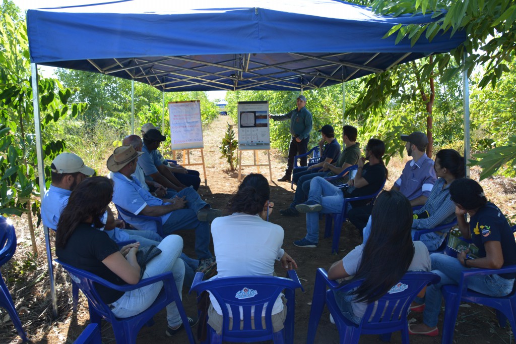 Sistemas Silvipastoris é tema de Dia de Campo em Água Boa-MT