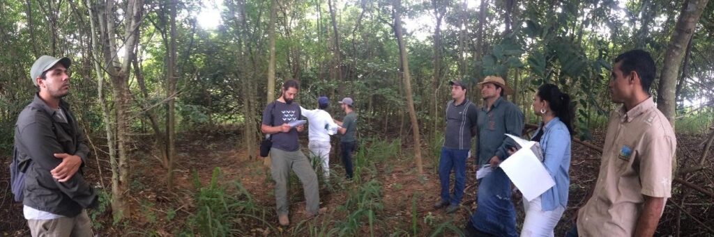 Reflorestamento na região do Xingu Araguaia serve de inspiração para outras regiões do Brasil