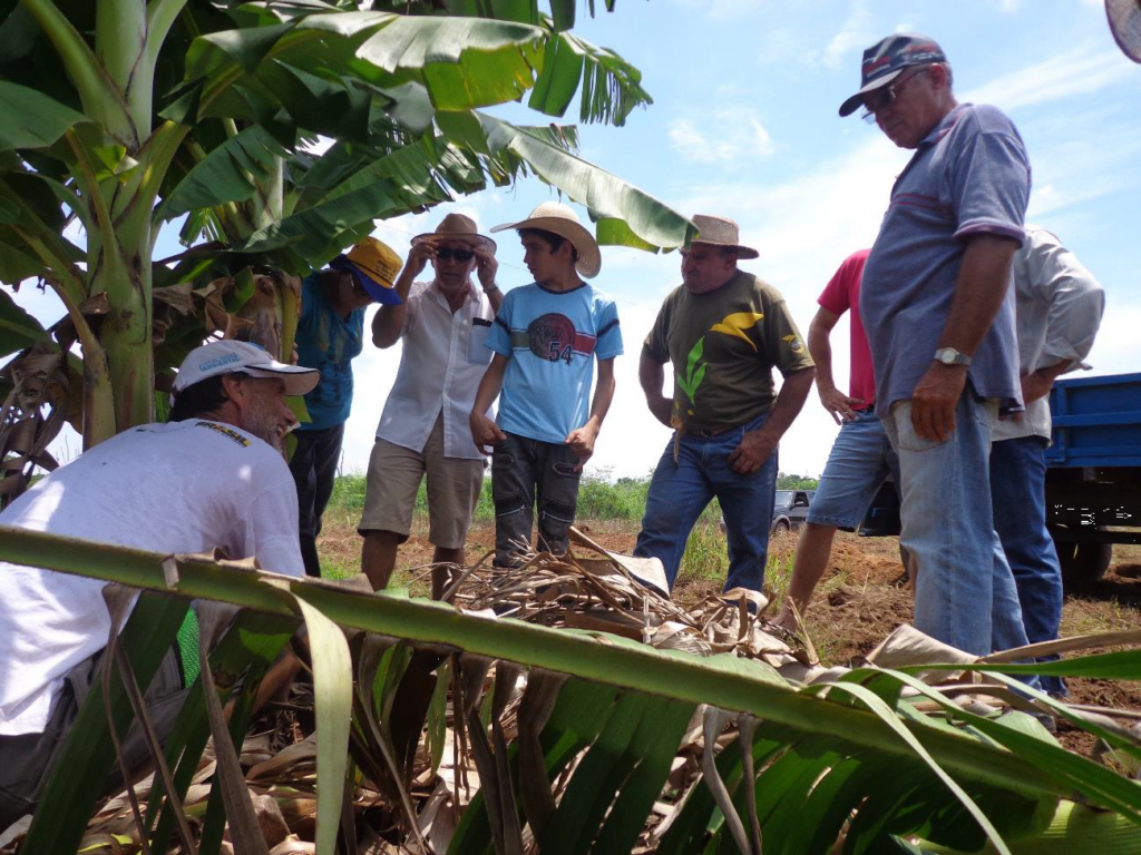 Agricultores familiares do PA Brasil Novo participam de Oficina de Práticas Agroflorestais