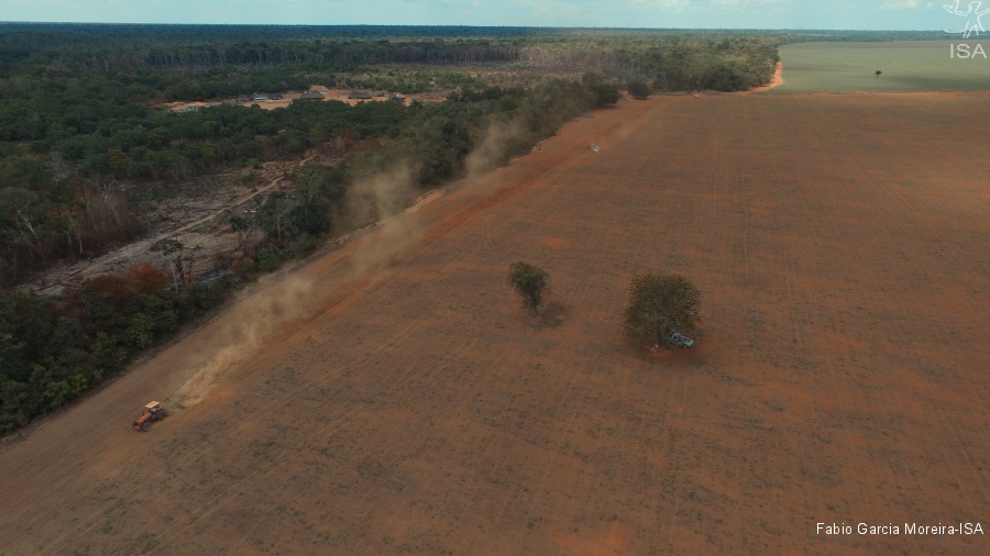 Desmatamento e degradação ambiental ameaçam Território Indígena do Xingu