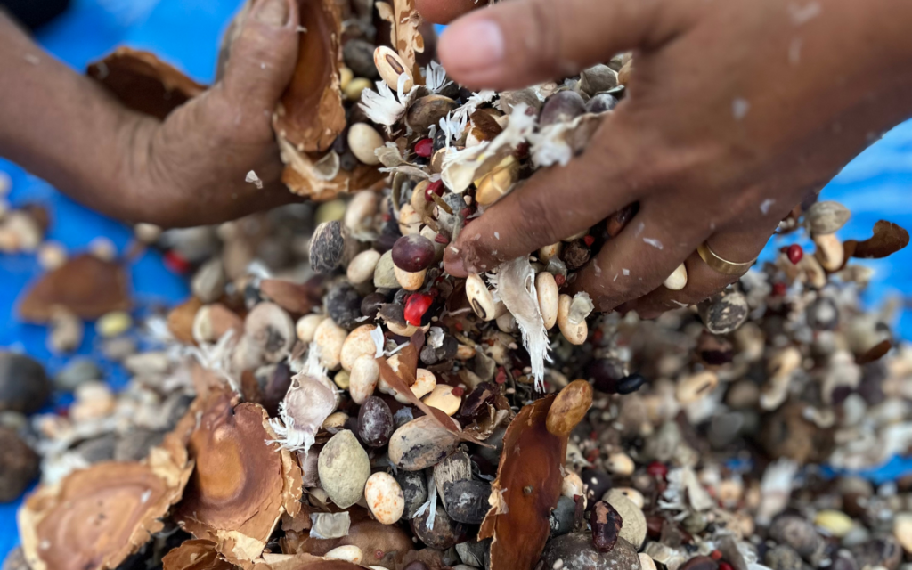 PA Manah tem três áreas de restauração ecológica implantadas
