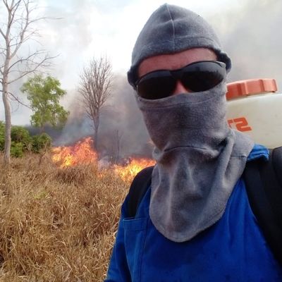 Incêndio criminoso destrói mais de 500 hectares de floresta nativa no assentamento Bordolândia (MT)