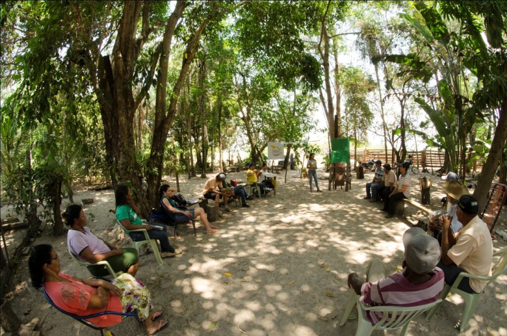 Grupos da Rede de Sementes do Xingu divulgam potencial e planejam coleta de 2015