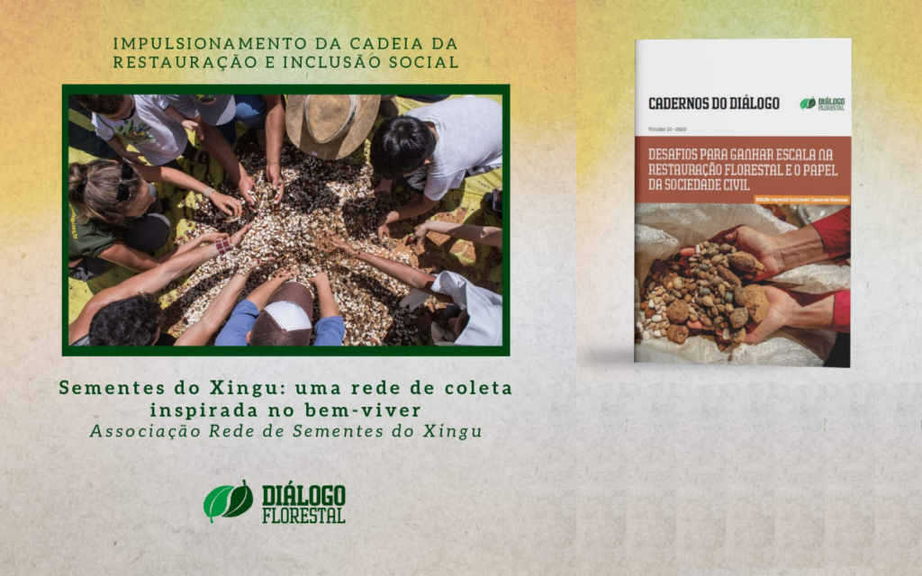 Rede de Sementes do Xingu recebe prêmio por promover restauração e inclusão social