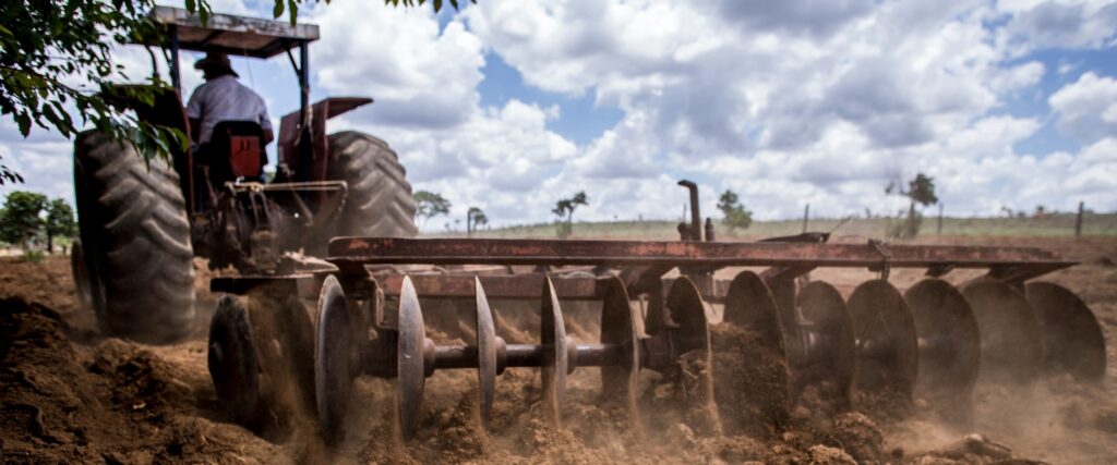 Rede de Sementes do Xingu é solução em restauração florestal no Mato Grosso
