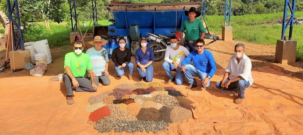 Sementes do Xingu realiza 1ª restauração ecológica em parceria com propriedade rural